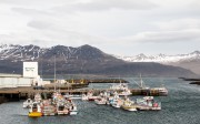 1732015-06-11_016_gentle_giants_whale_watching_gadofoss_akureyri