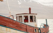 1722015-06-11_010_gentle_giants_whale_watching_gadofoss_akureyri
