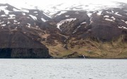 1762015-06-11_045_gentle_giants_whale_watching_gadofoss_akureyri