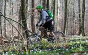 883002-2017-03-26-mountainbike-neckarsulm