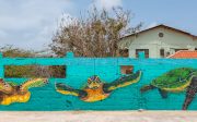 983015-2018-06-04-aruba-streetart